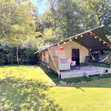 Holiday home De Bij Hulshorst